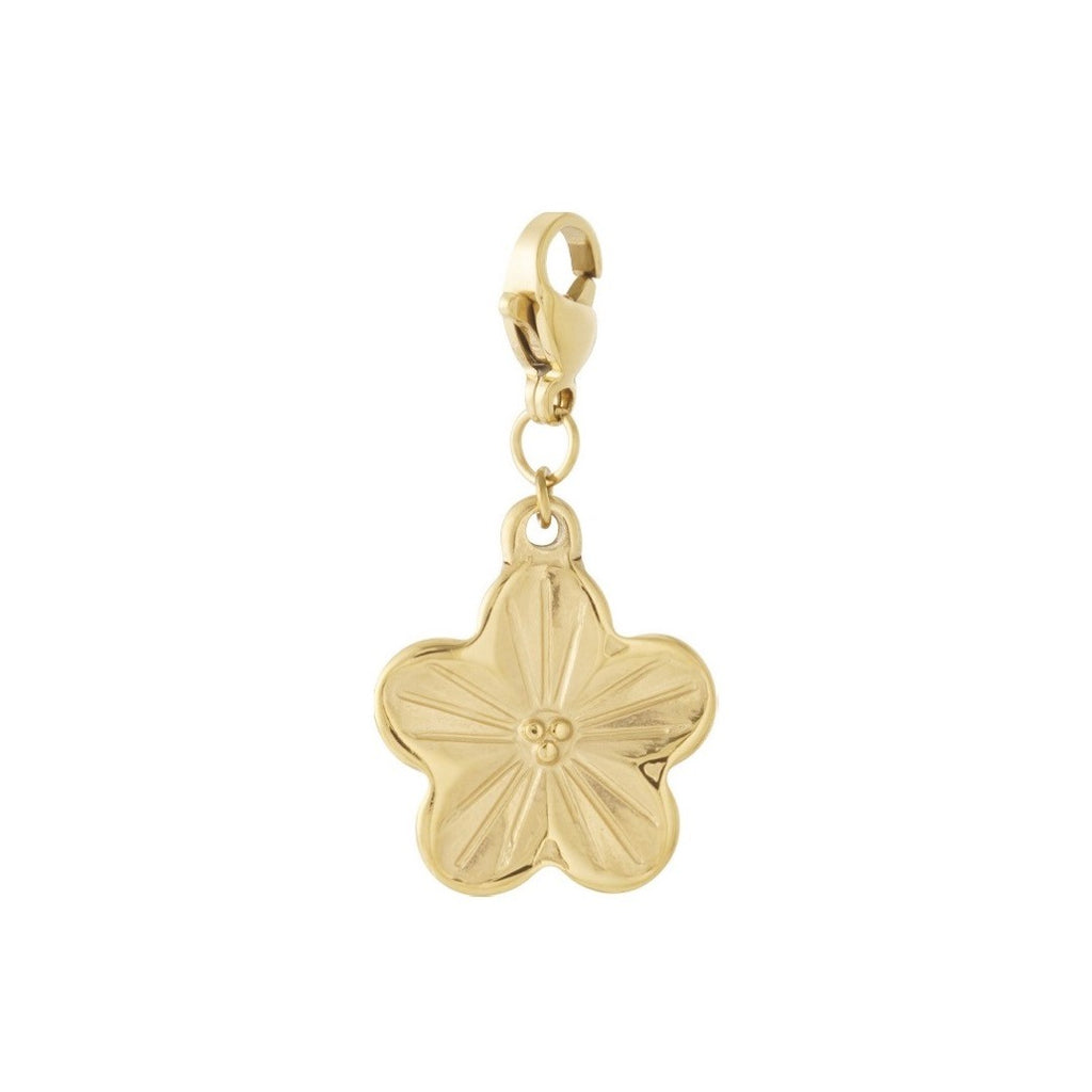 Bedel bloem goud
